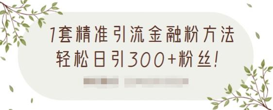 1套精准引流金融粉方法，轻松日引300+粉丝-狼哥资源库