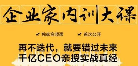 企业家内训大课，未来企业必学经验，价值1299元-狼哥资源库