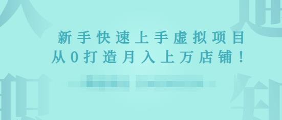 2022年虚拟项目实战指南，新手从0打造月入上万店铺-狼哥资源库