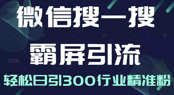 微信搜一搜霸屏引流课，打造被动精准引流系统，轻松日引300行业精准粉-狼哥资源库