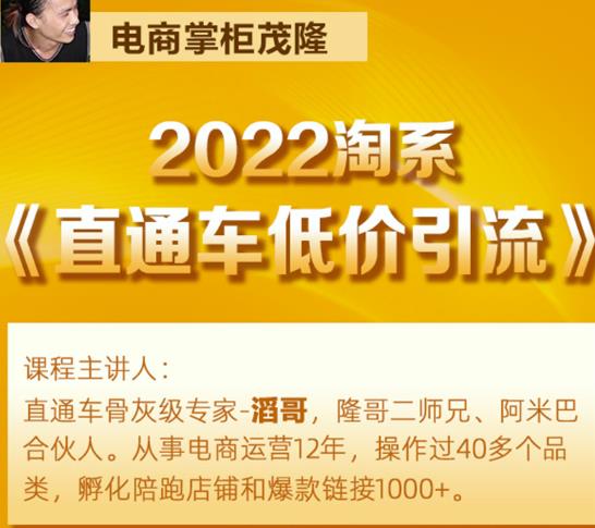 茂隆2022直通车低价引流玩法，教大家如何低投入高回报的直通车玩法-狼哥资源库