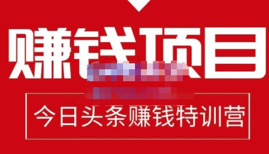 懒人领域·今日头条项目玩法，头条中视频项目，单号收益在50—500可批量-狼哥资源库