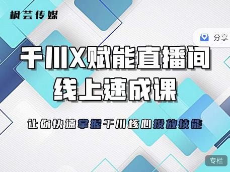 枫芸传媒-线上千川提升课，提升千川认知，提升千川投放效果-创业项目致富网、狼哥项目资源库