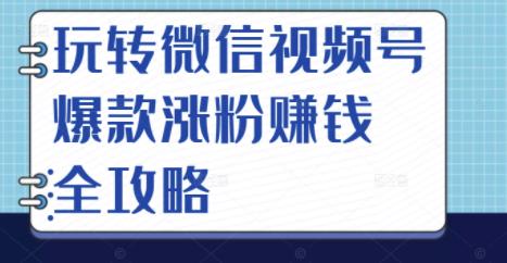 玩转微信视频号爆款涨粉赚钱全攻略，让你快速抓住流量风口，收获红利财富-狼哥资源库