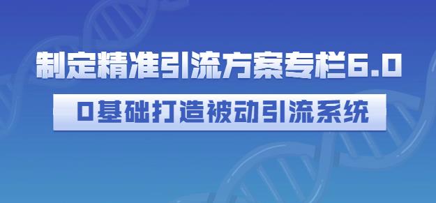 制定精准引流方案专栏6.0，0基础打造被动引流系统-狼哥资源库