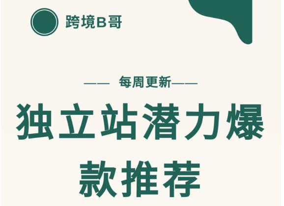 【跨境B哥】独立站潜力爆款选品推荐，测款出单率高达百分之80-狼哥资源库