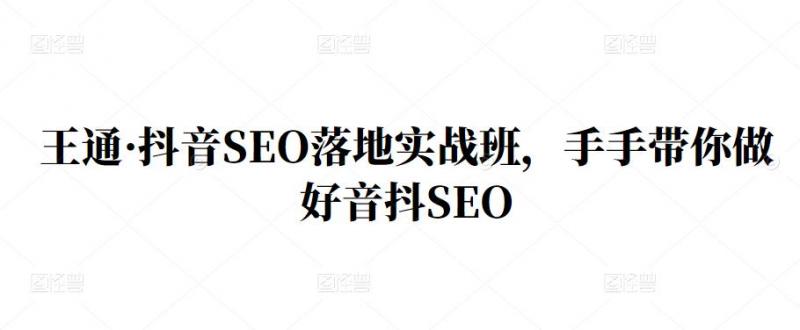 王通·抖音SEO落地实战班，手‬手带你做好音抖‬‬SEO-狼哥资源库