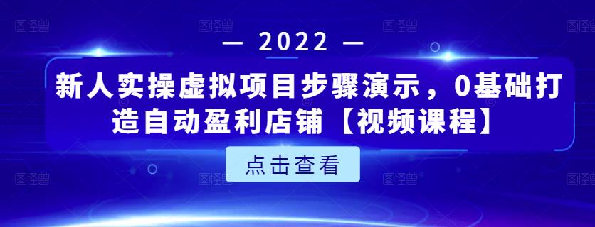 新人实操虚拟项目步骤演示，0基础打造自动盈利店铺【视频课程】-狼哥资源库