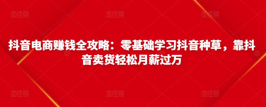 抖音电商赚钱全攻略：零基础学习抖音种草，靠抖音卖货轻松月薪过万-狼哥资源库