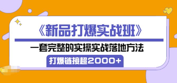 凌童《新品打爆实战班》,一套完整的实操实战落地方法，打爆链接超2000+（28节课)-创业项目致富网、狼哥项目资源库