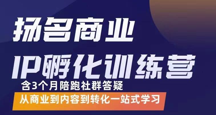 杨名商业IP孵化训练营，从商业到内容到转化一站式学 价值5980元-狼哥资源库