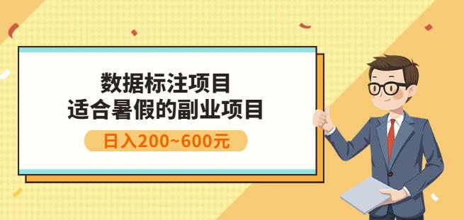 副业赚钱：人工智能数据标注项目，简单易上手，小白也能日入200+-狼哥资源库