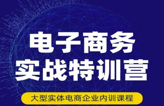 民赛电气内部出品：电子商务实战特训营，全方位带你入门电商，308种方式玩转电商-狼哥资源库