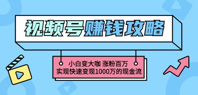 玩转微信视频号赚钱：小白变大咖涨粉百万实现快速变现1000万的现金流-狼哥资源库