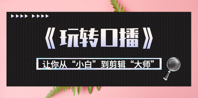 月营业额700万+大佬教您《玩转口播》让你从“小白”到剪辑“大师”-狼哥资源库