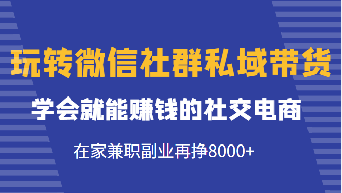 玩转微信社群私域带货，学会就能赚钱的社交电商，在家兼职副业再挣8000+-狼哥资源库