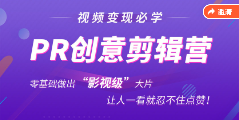 抖音赚钱必学的PR创意剪辑：零基础做出“影视级”大片，让人一看就忍不住为你点赞！-狼哥资源库