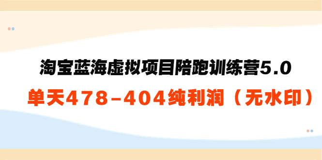 淘宝蓝海虚拟项目陪跑训练营5.0：单天478纯利润-狼哥资源库