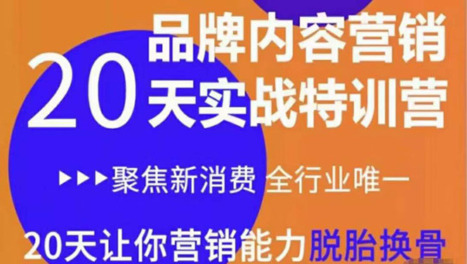 《内容营销实操特训营》20天让你营销能力脱胎换骨（价值3999）-狼哥资源库