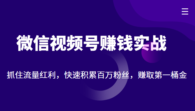 微信视频号赚钱实战：抓住流量红利，快速积累百万粉丝，赚取你的第一桶金-狼哥资源库