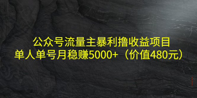 公众号流量主暴利撸收益项目，单人单号月稳赚5000+（价值480元）-狼哥资源库