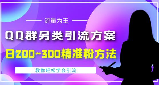 价值888的QQ群另类引流方案，半自动操作日200~300精准粉方法【视频教程】-狼哥资源库