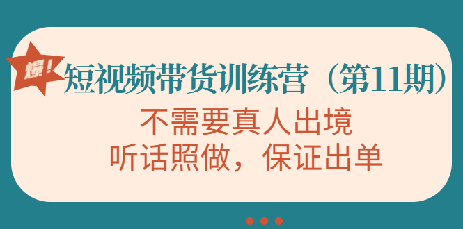 视频带货训练营，不需要真人出境，听话照做，保证出单（第11期）-狼哥资源库