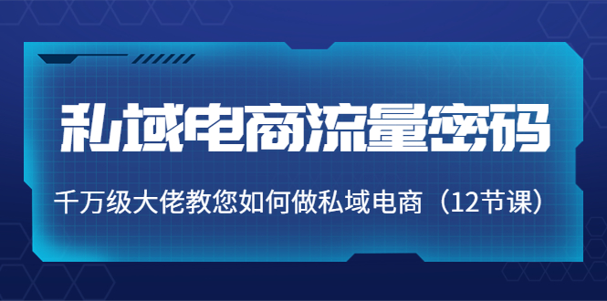 私域电商流量密码：千万级大佬教您如何做私域电商（12节课）-狼哥资源库