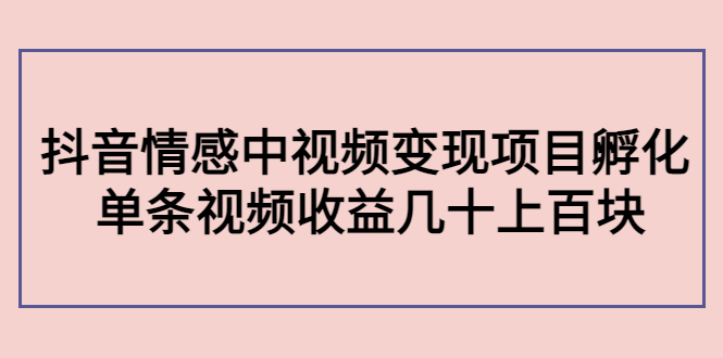 副业孵化营第5期：抖音情感中视频变现项目孵化 单条视频收益几十上百-狼哥资源库