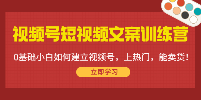 视频号短视频文案训练营：0基础小白如何建立视频号，上热门，能卖货！-狼哥资源库