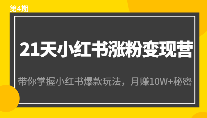 21天小红书涨粉变现营（第4期）：带你掌握小红书爆款玩法，月赚10W+秘密-狼哥资源库