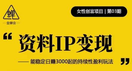 资料IP变现，能稳定日赚3000起的持续性盈利玩法-狼哥资源库