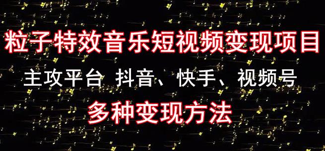 黄岛主《粒子特效音乐短视频变现项目》主攻平台抖音、快手、视频号多种变现方法-狼哥资源库