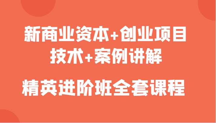 新商业资本+创业项目，技术+案例讲解，精英进阶班全套课程-狼哥资源库