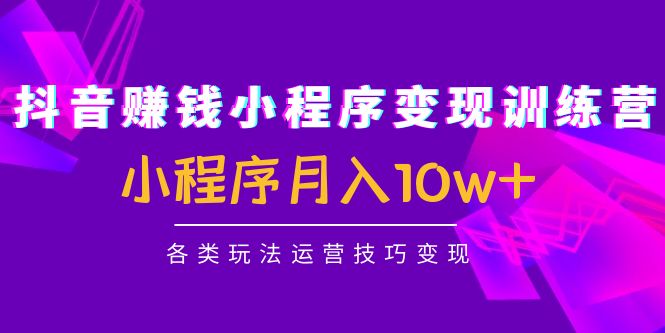 抖音赚钱小程序变现训练营：小程序月入10w+各类玩法运营技巧变现-狼哥资源库