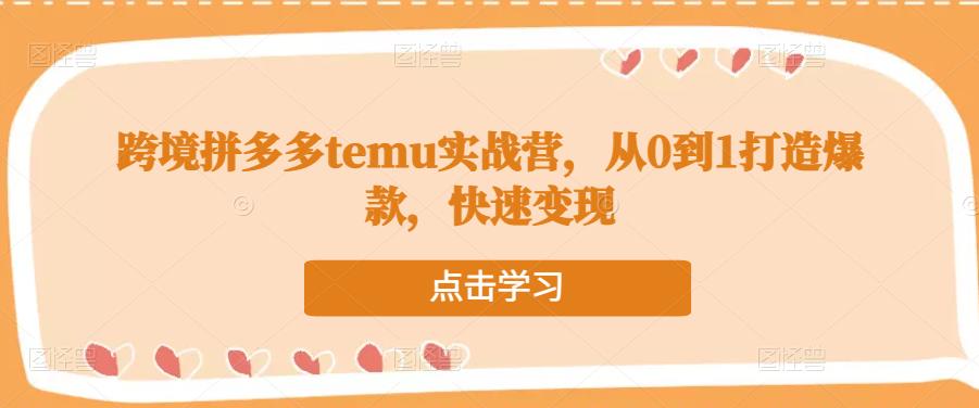 跨境拼多多temu实战营，从0到1打造爆款，快速变现-狼哥资源库