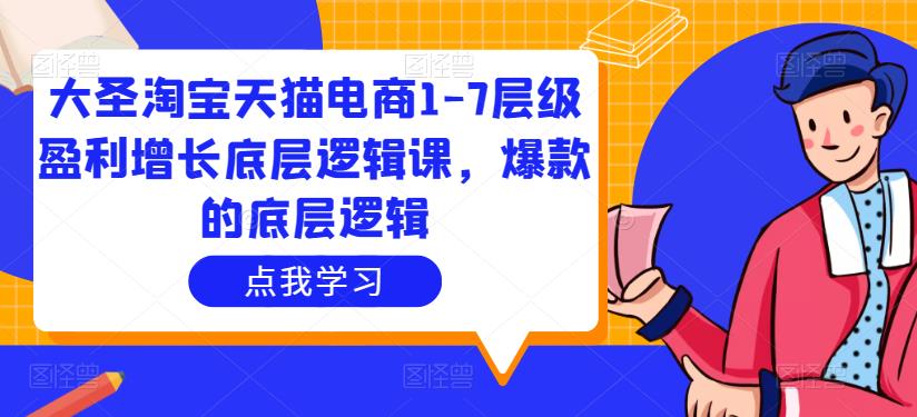 大圣淘宝天猫电商1-7层级盈利增长底层逻辑课，爆款的底层逻辑-狼哥资源库