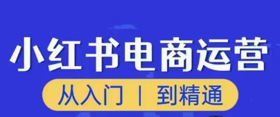 顽石小红书电商高阶运营课程，从入门到精通，玩法流程持续更新-狼哥资源库