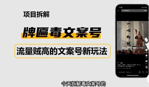 2023抖音快手毒文案新玩法，牌匾文案号，起号快易变现-狼哥资源库