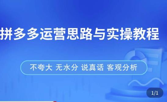 拼多多店铺运营思路与实操教程，快速学会拼多多开店和运营，少踩坑，多盈利-狼哥资源库