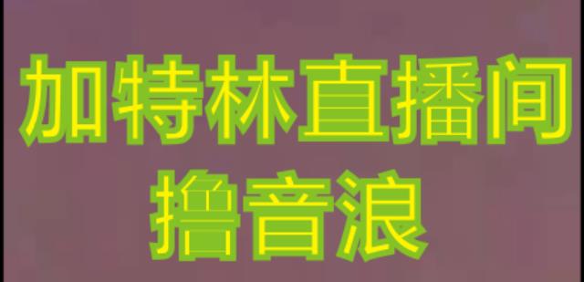 抖音加特林直播间搭建技术，抖音0粉开播，暴力撸音浪，2023新口子，每天800+【素材+详细教程】-狼哥资源库