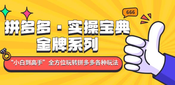 拼多多·实操宝典：金牌系列“小白到高手”带你全方位玩转拼多多各种玩法-狼哥资源库