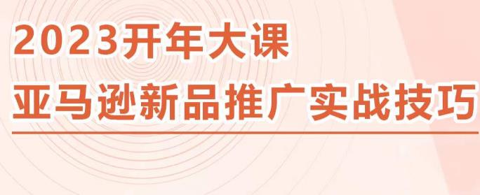 2023亚马逊新品推广实战技巧，线下百万美金课程的精简版，简单粗暴可复制，实操性强的推广手段-狼哥资源库