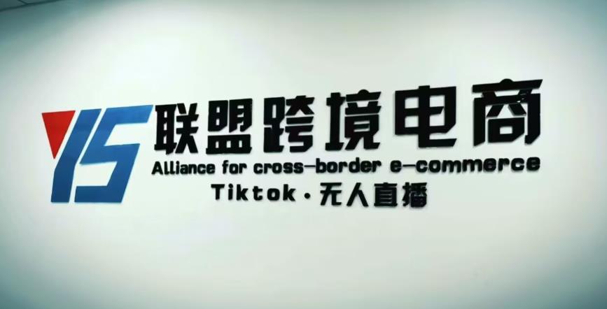 YS联盟·Tiktok无人直播，不出镜不剪辑不拍摄不发货无售后的跨境短视频躺赚玩法-狼哥资源库