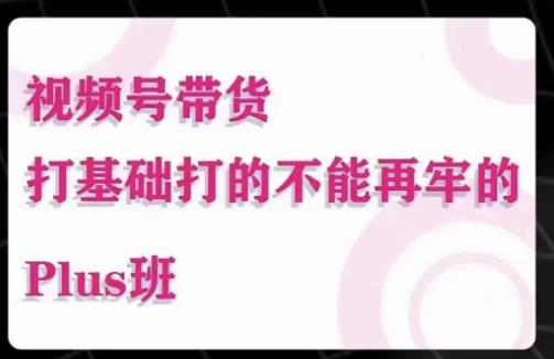 大播汇·视频号带货Puls班，视频号底层逻辑，起号自然流鱼塘等玩法-狼哥资源库