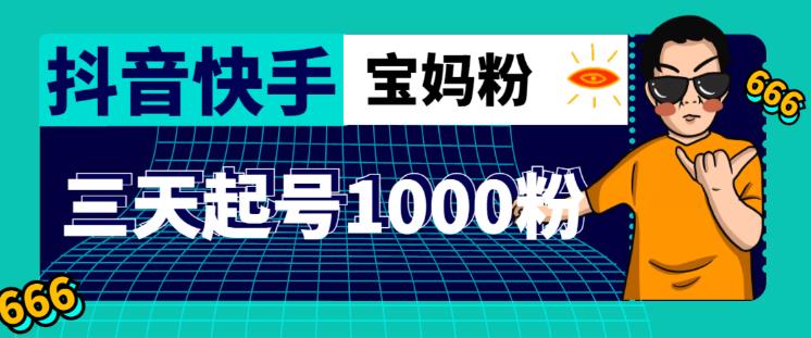 抖音快手三天起号涨粉1000宝妈粉丝的核心方法【详细玩法教程】-狼哥资源库