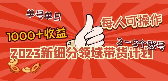 2023新细分领域带货计划：单号单日1000+收益不难，每人可操作3-5个账号-狼哥资源库