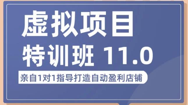 陆明明·虚拟项目特训班（10.0+11.0），0成本获取虚拟素材，0基础打造自动盈利店铺-狼哥资源库