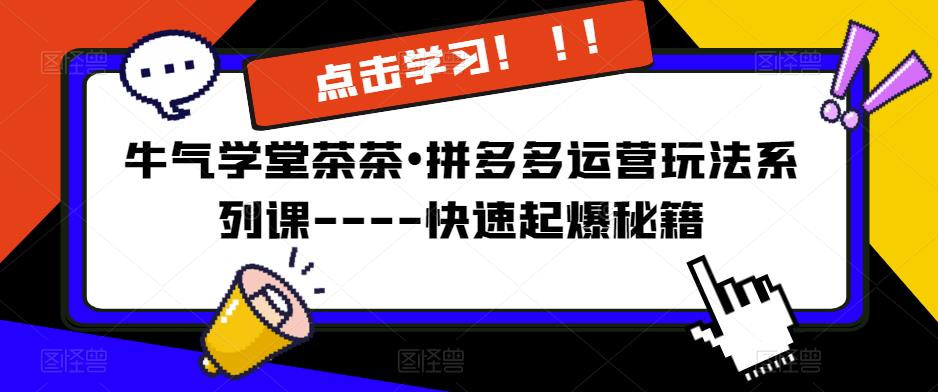 牛气学堂茶茶•拼多多运营玩法系列课—-快速起爆秘籍【更新】-狼哥资源库