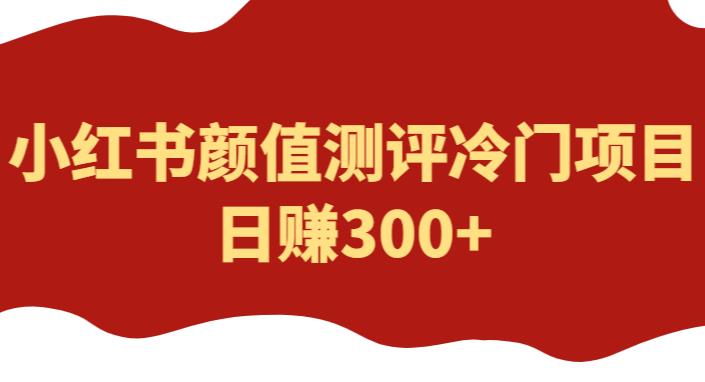 外面1980的项目，小红书颜值测评冷门项目，日赚300+【揭秘】-狼哥资源库